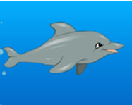 Delfines jtkok